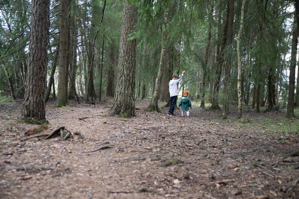 Pentax K-1 / 3 Pentax K-1   3