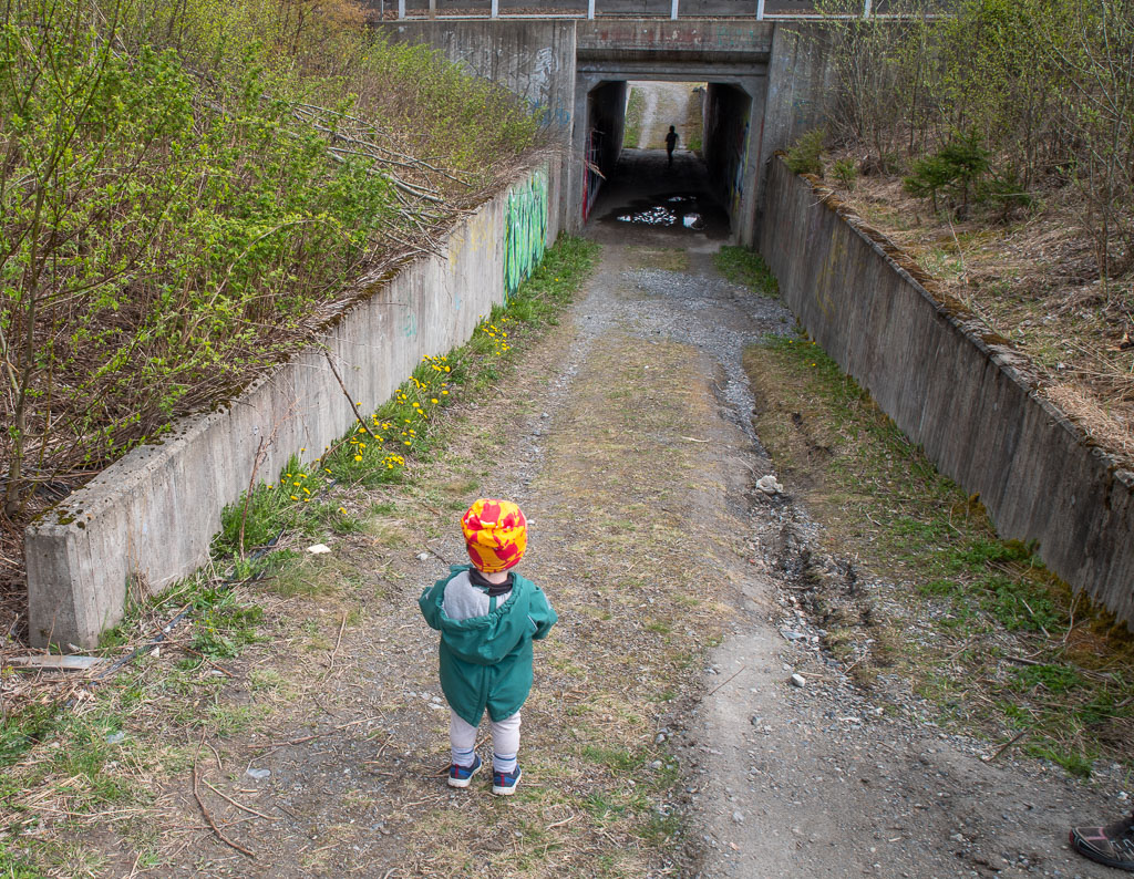 Pentax K-1 / 3 Pentax K-1   3