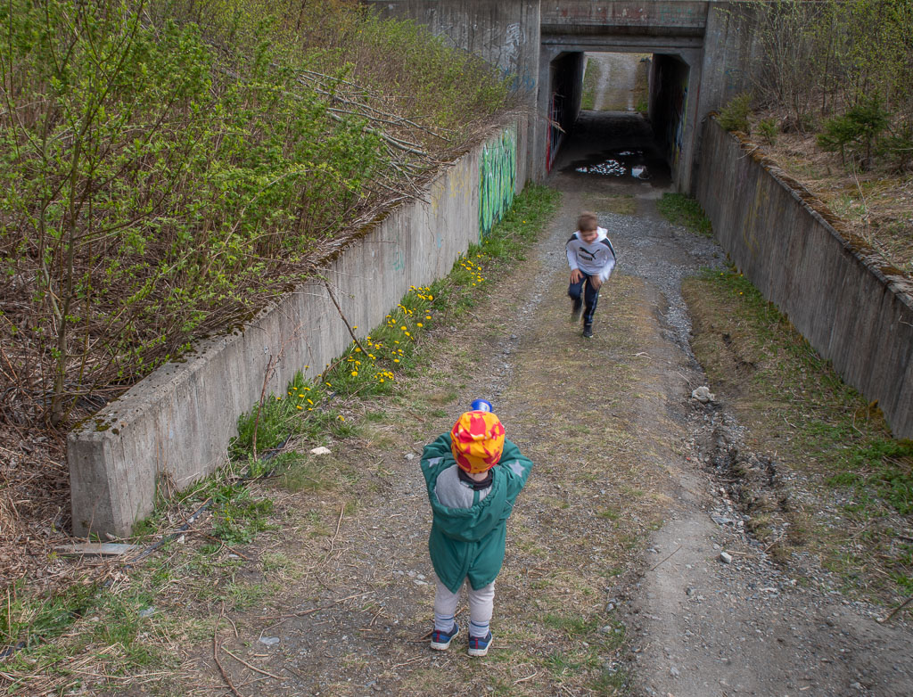 Pentax K-1 / 3 Pentax K-1   3