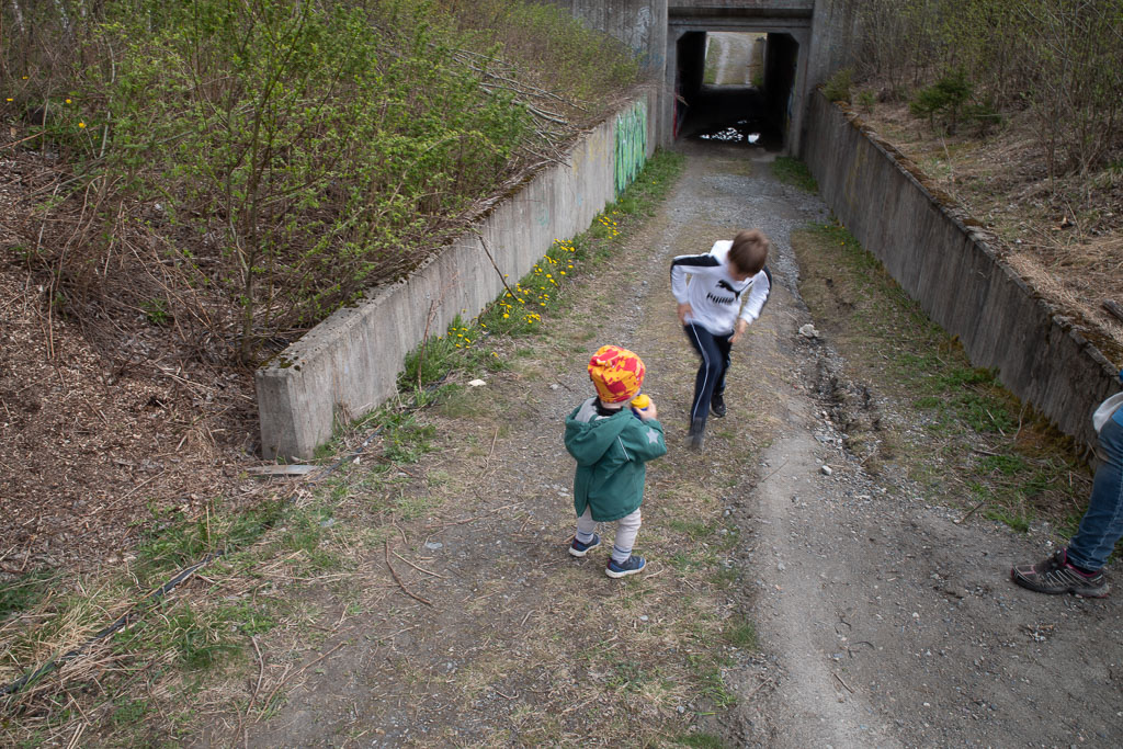 Pentax K-1 / 3 Pentax K-1   3