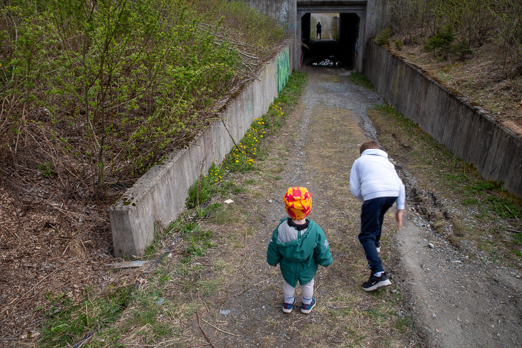 Pentax K-1 / 3 Pentax K-1   3