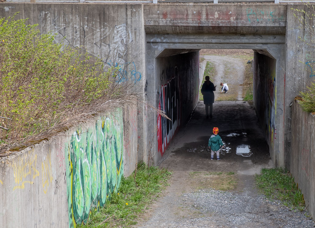 Pentax K-1 / 3 Pentax K-1   3