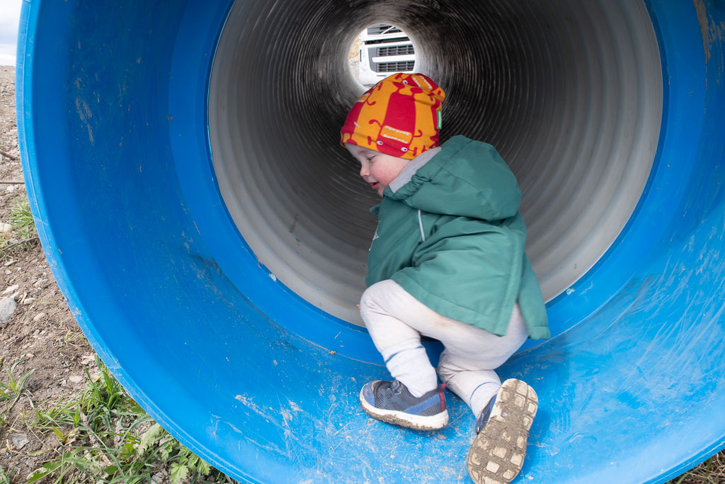 Pentax K-1 / 3 Pentax K-1   3