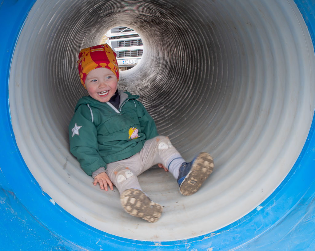 Pentax K-1 / 3 Pentax K-1   3