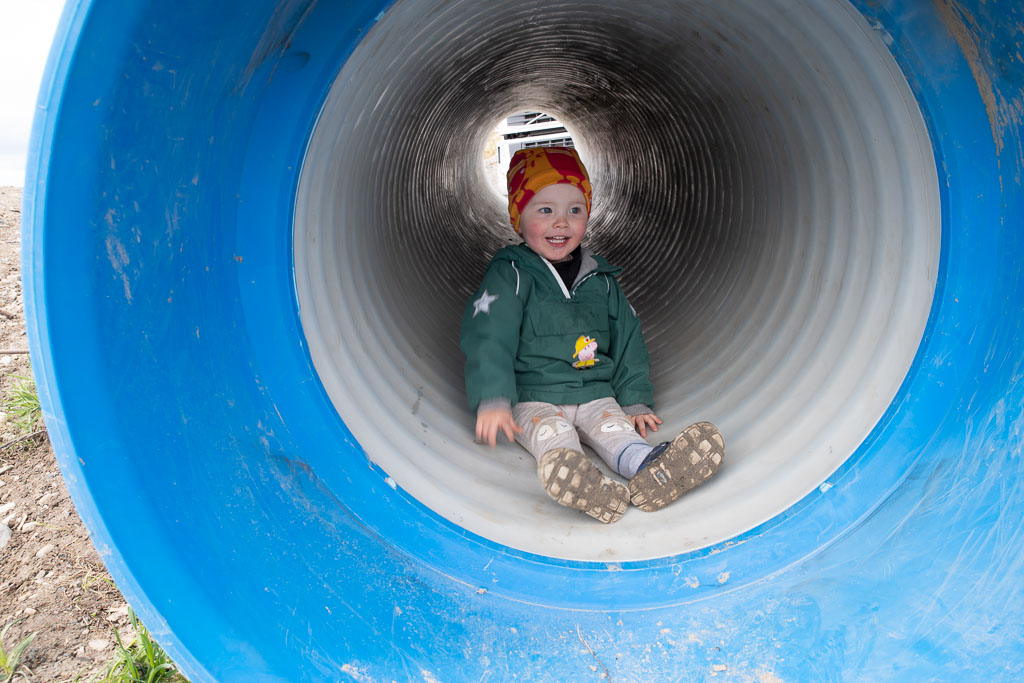 Pentax K-1 / 3 Pentax K-1   3