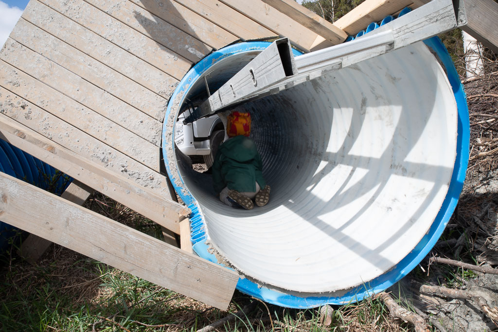 Pentax K-1 / 3 Pentax K-1   3