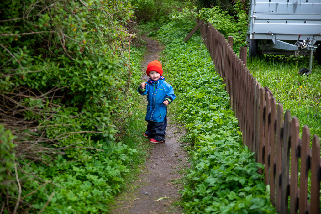 Pentax K-1 / 23 Pentax K-1   23