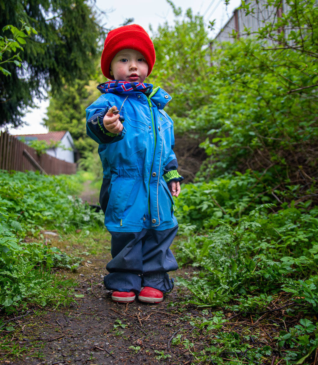 Pentax K-1 / 23 Pentax K-1   23
