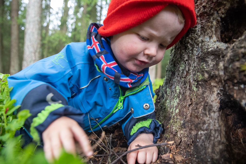 Pentax K-1 / 23 Pentax K-1   23