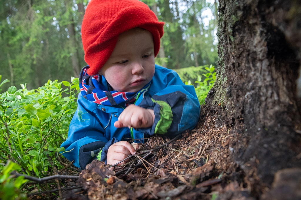Pentax K-1 / 23 Pentax K-1   23
