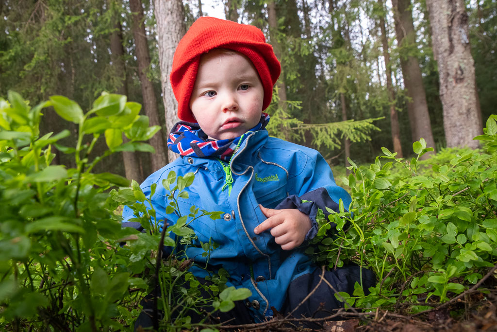 Pentax K-1 / 23 Pentax K-1   23