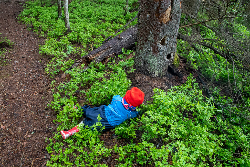Pentax K-1 / 23 Pentax K-1   23