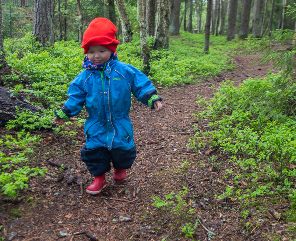 Pentax K-1 / 23 Pentax K-1   23