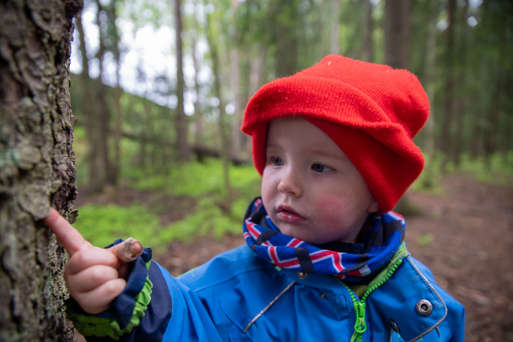 Pentax K-1 / 23 Pentax K-1   23