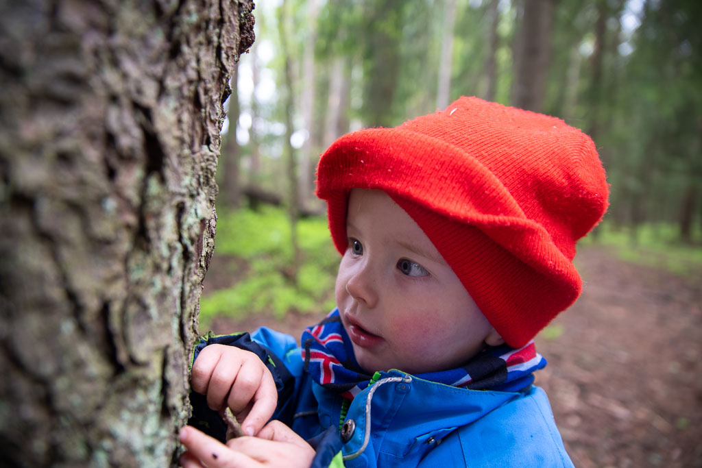 Pentax K-1 / 23 Pentax K-1   23