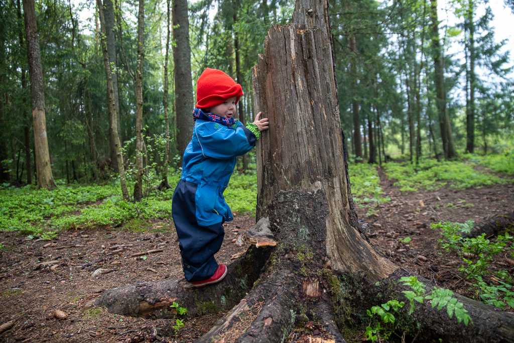 Pentax K-1 / 23 Pentax K-1   23