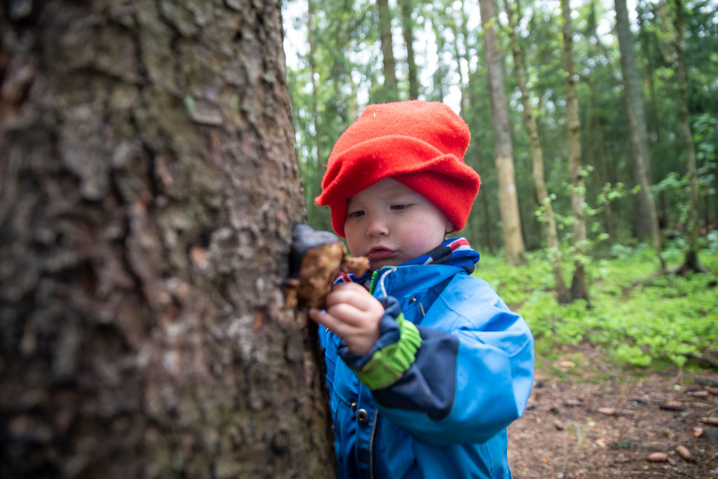 Pentax K-1 / 23 Pentax K-1   23