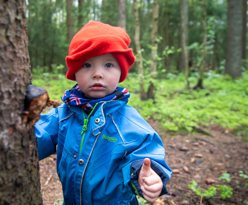 Pentax K-1 / 23 Pentax K-1   23