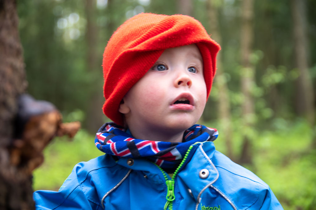 Pentax K-1 / 23 Pentax K-1   23