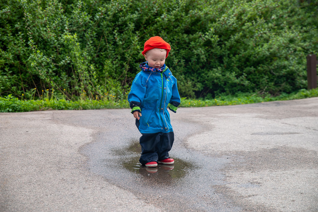Pentax K-1 / 23 Pentax K-1   23
