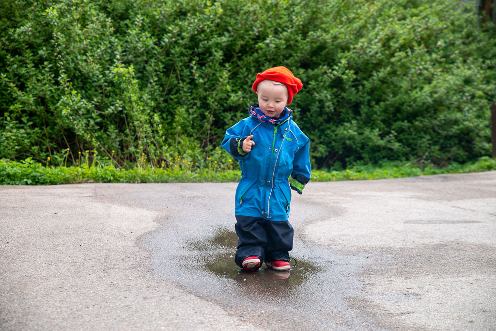 Pentax K-1 / 23 Pentax K-1   23