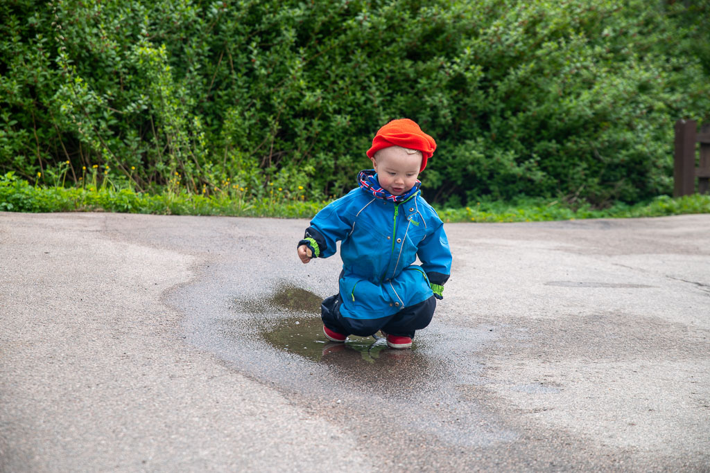 Pentax K-1 / 23 Pentax K-1   23