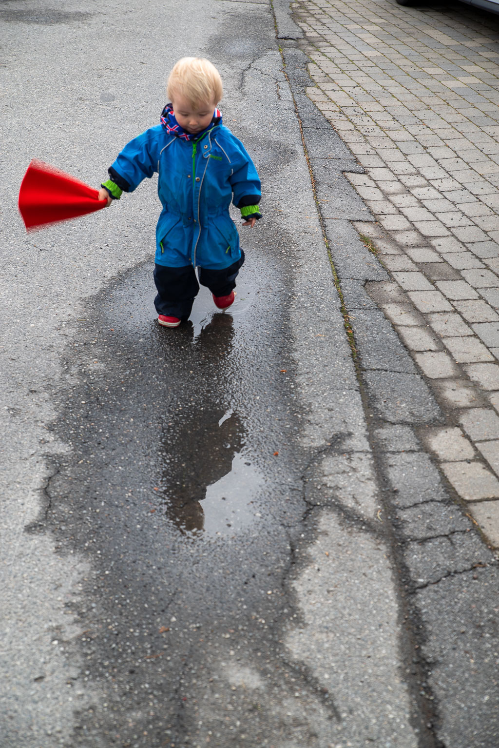 Pentax K-1 / 23 Pentax K-1   23