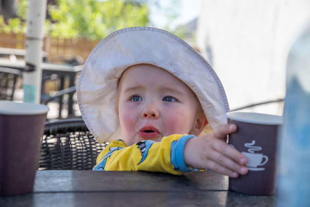 Pentax K-1 / 31 Pentax K-1   31