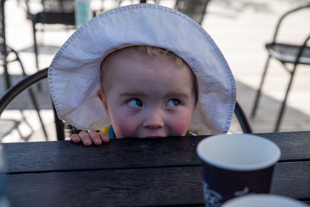 Pentax K-1 / 31 Pentax K-1   31