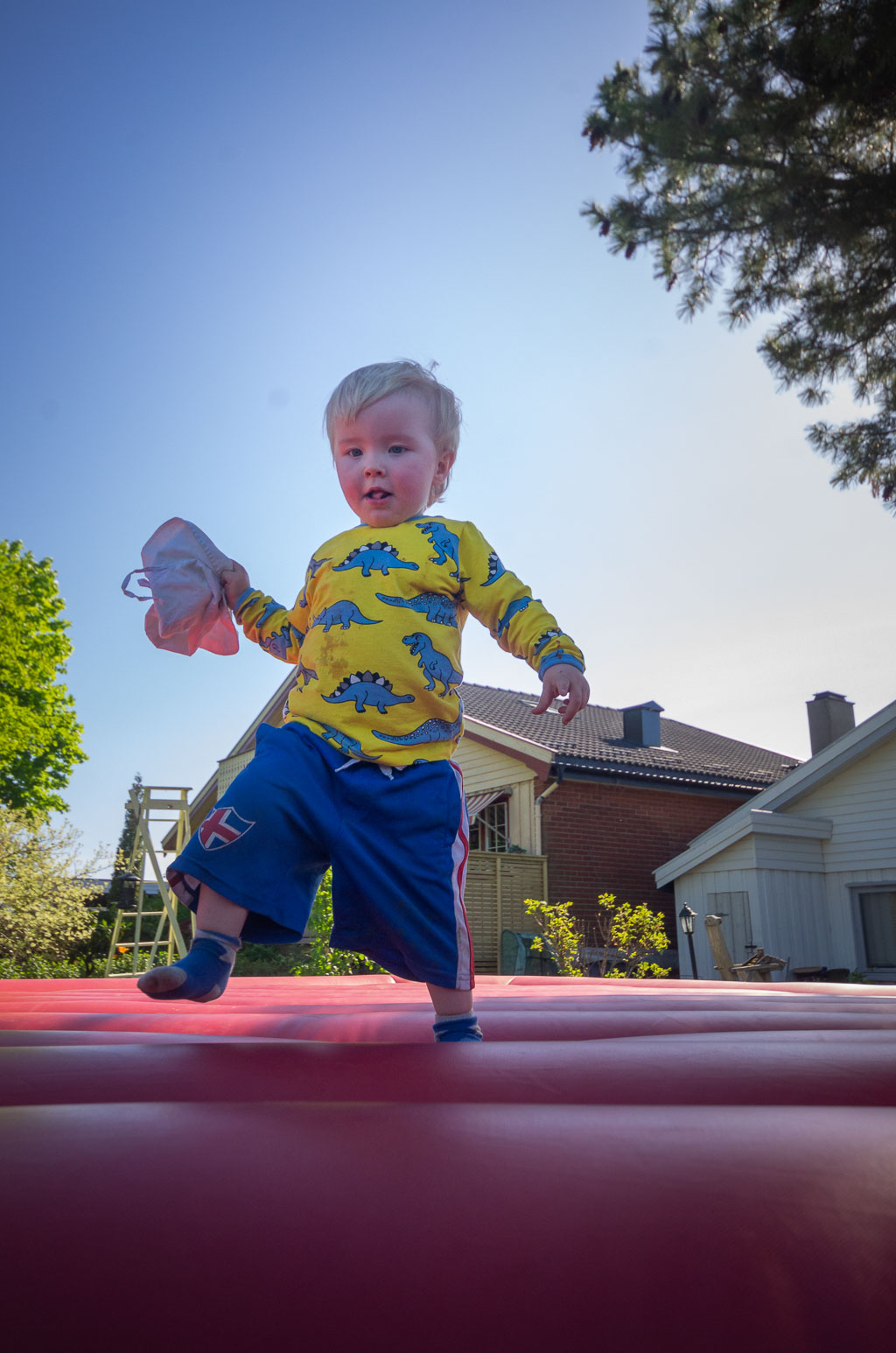 Pentax K-5 / 31 Pentax K-5   31