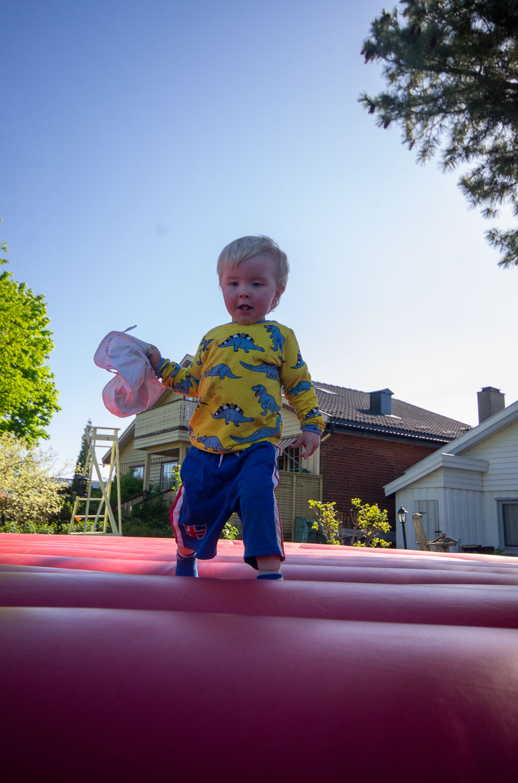 Pentax K-5 / 31 Pentax K-5   31