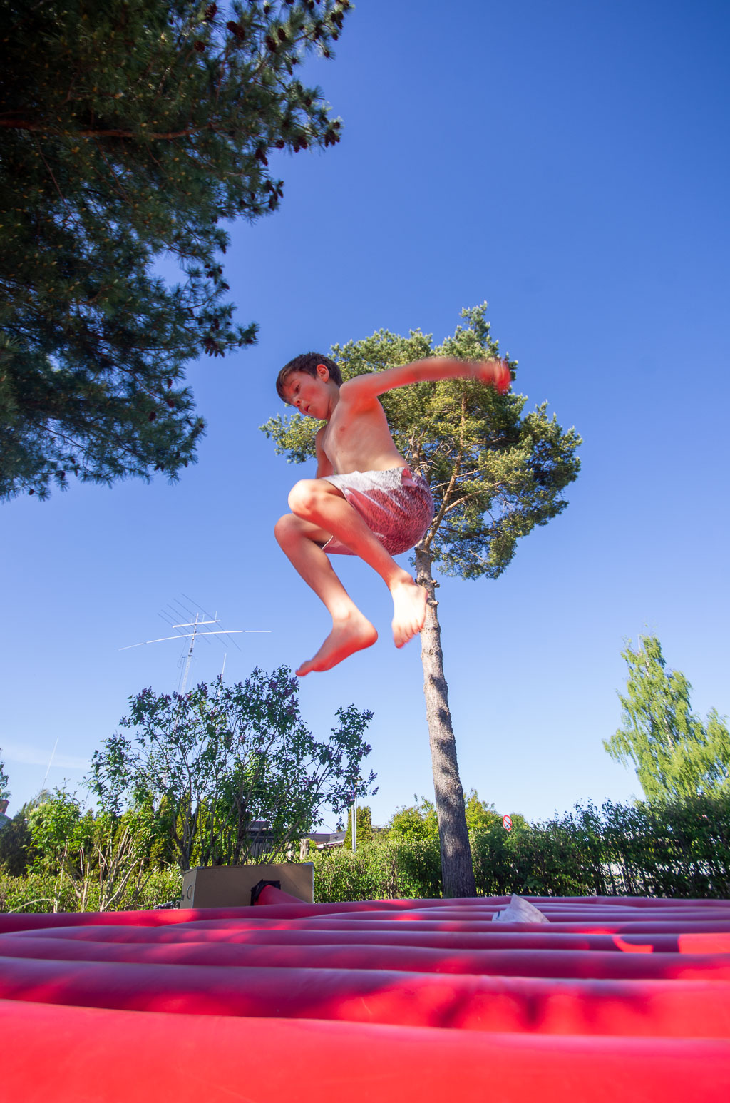 Pentax K-5 / 31 Pentax K-5   31