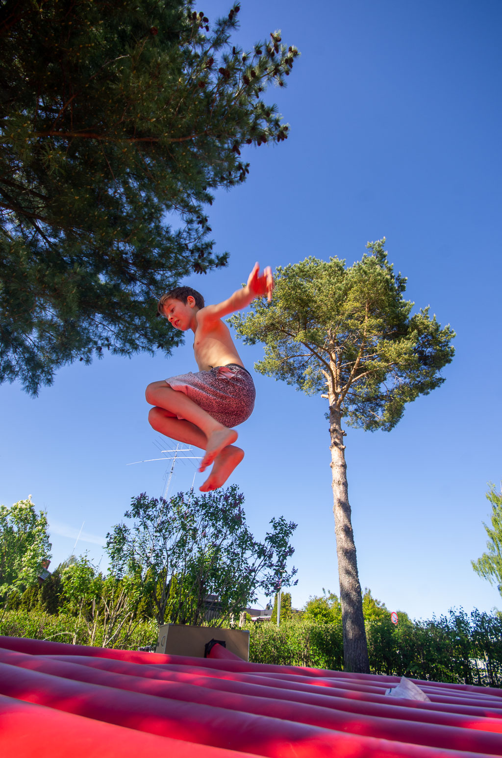 Pentax K-5 / 31 Pentax K-5   31