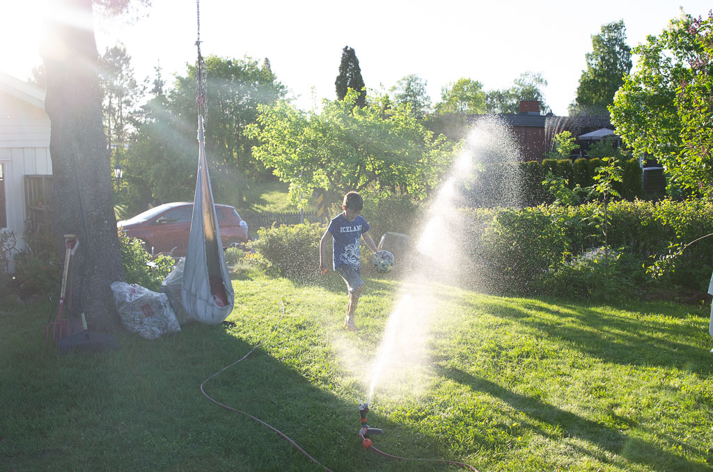 Pentax K-5 / 31 Pentax K-5   31