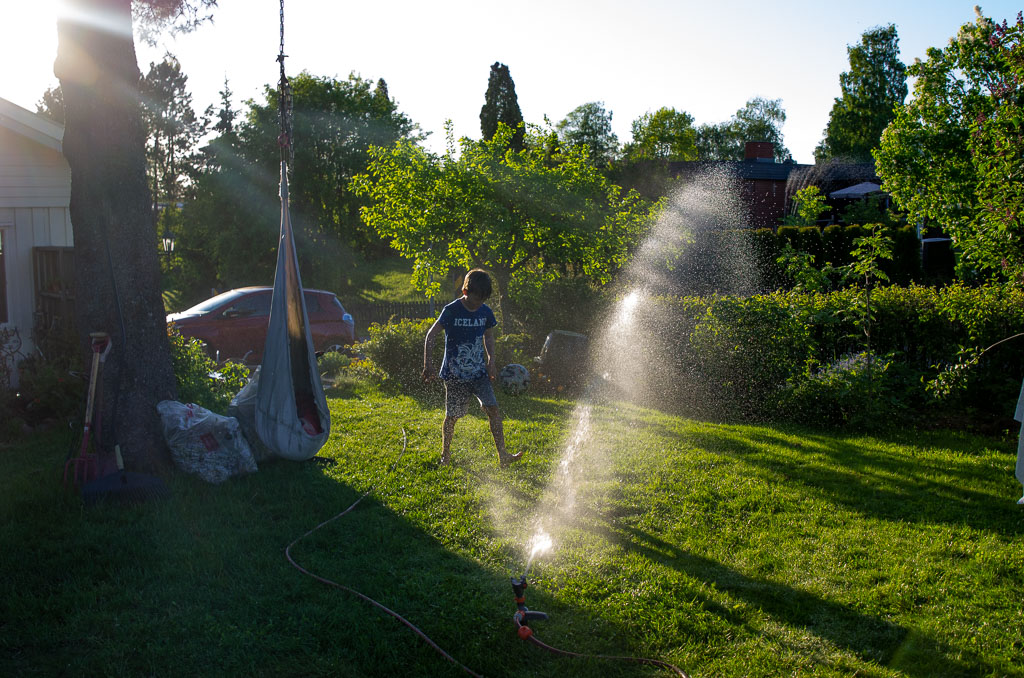 Pentax K-5 / 31 Pentax K-5   31
