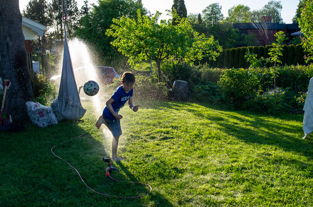 Pentax K-5 / 31 Pentax K-5   31
