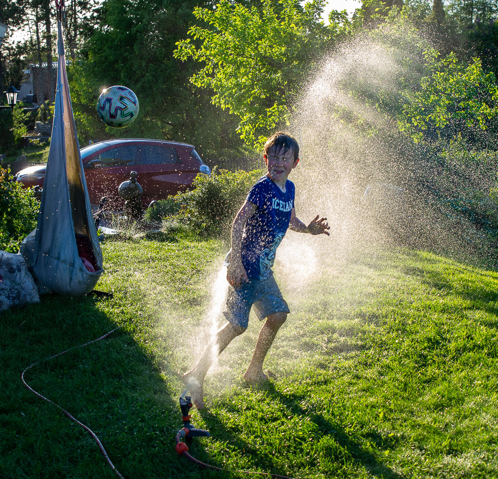 Pentax K-5 / 31 Pentax K-5   31