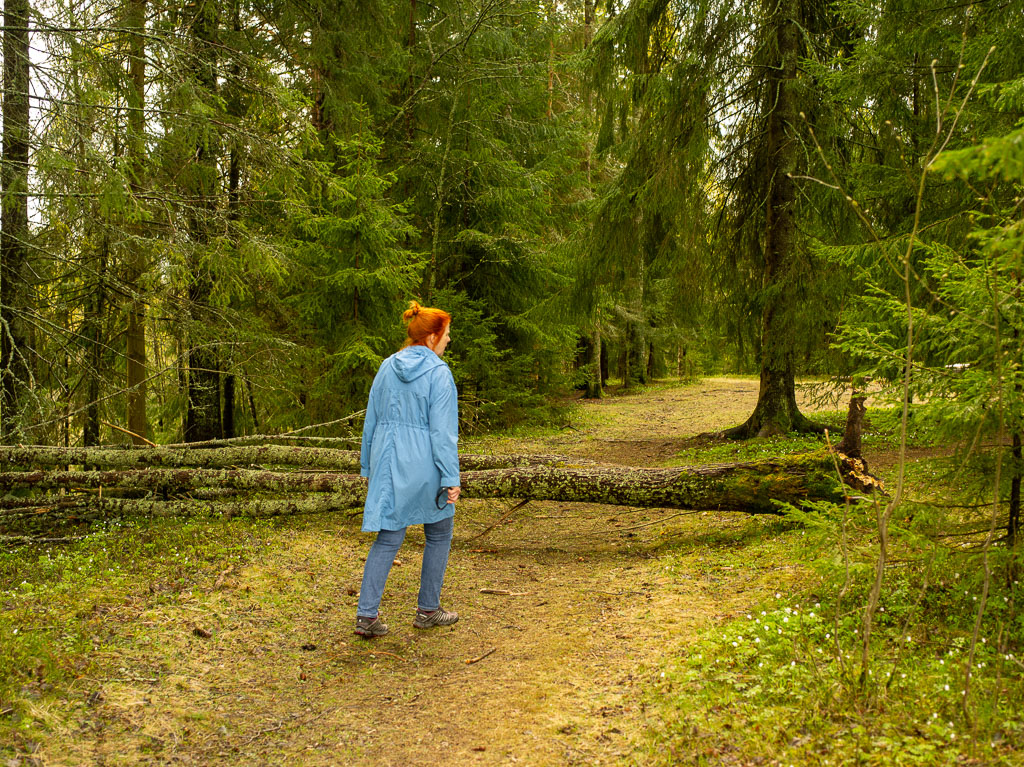 Pentax 645D / 1 Pentax 645D   1