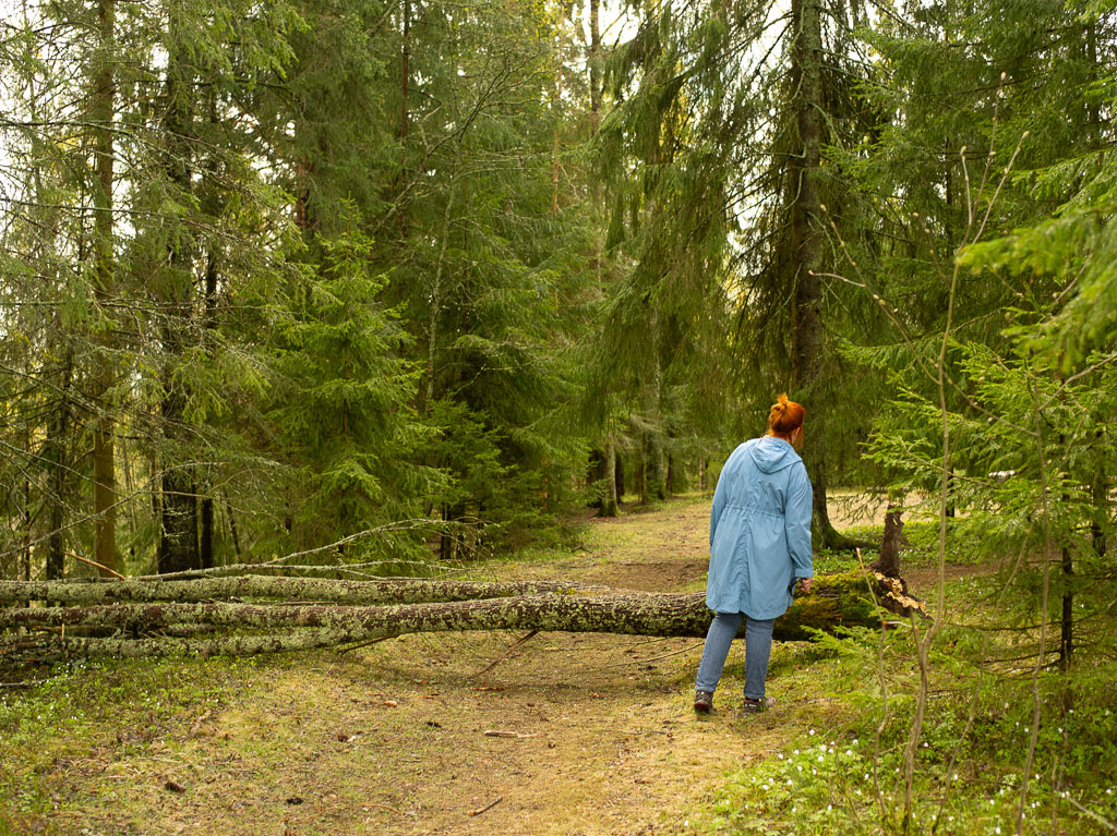 Pentax 645D / 1 Pentax 645D   1