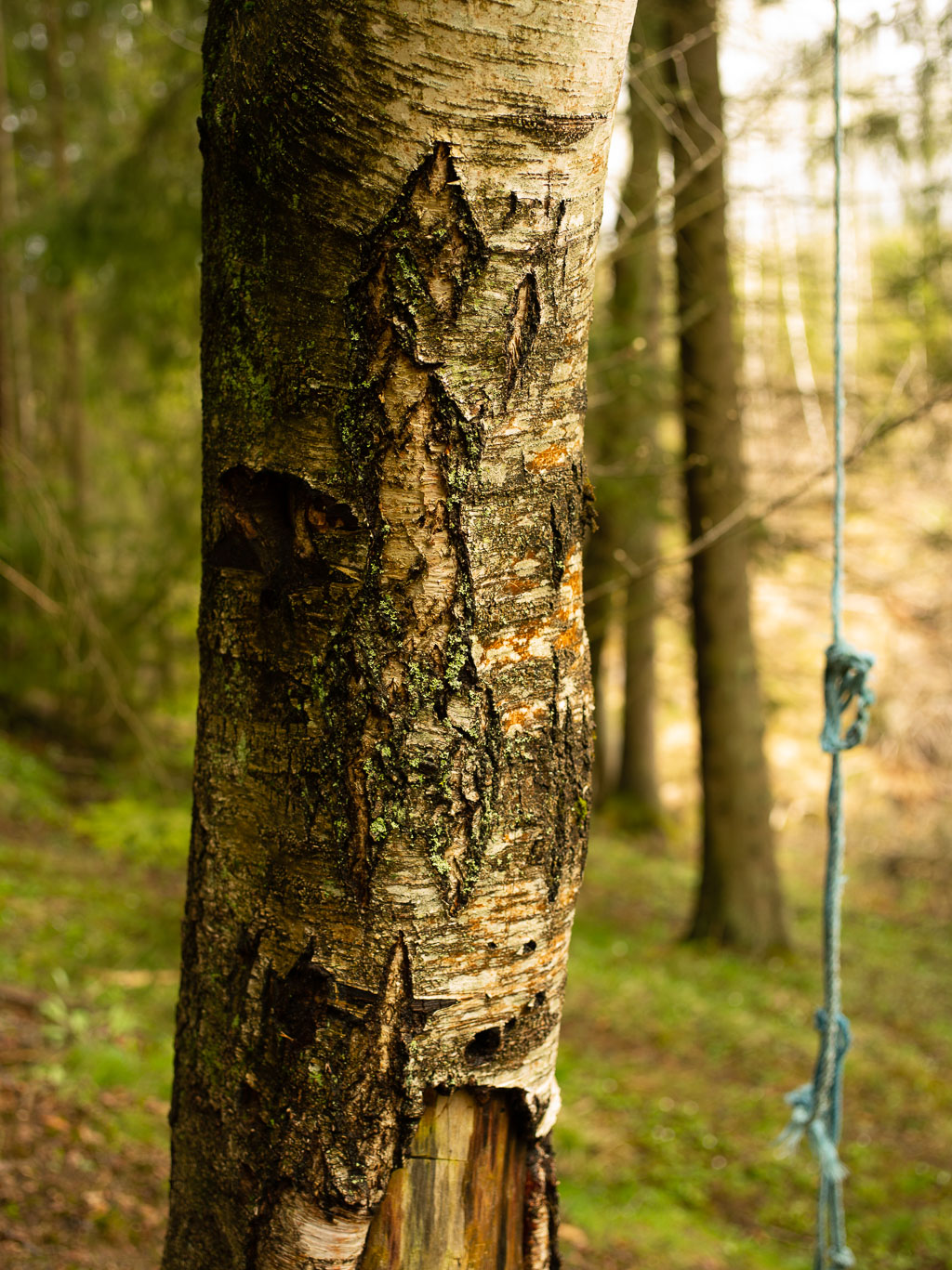 Pentax 645D / 1 Pentax 645D   1