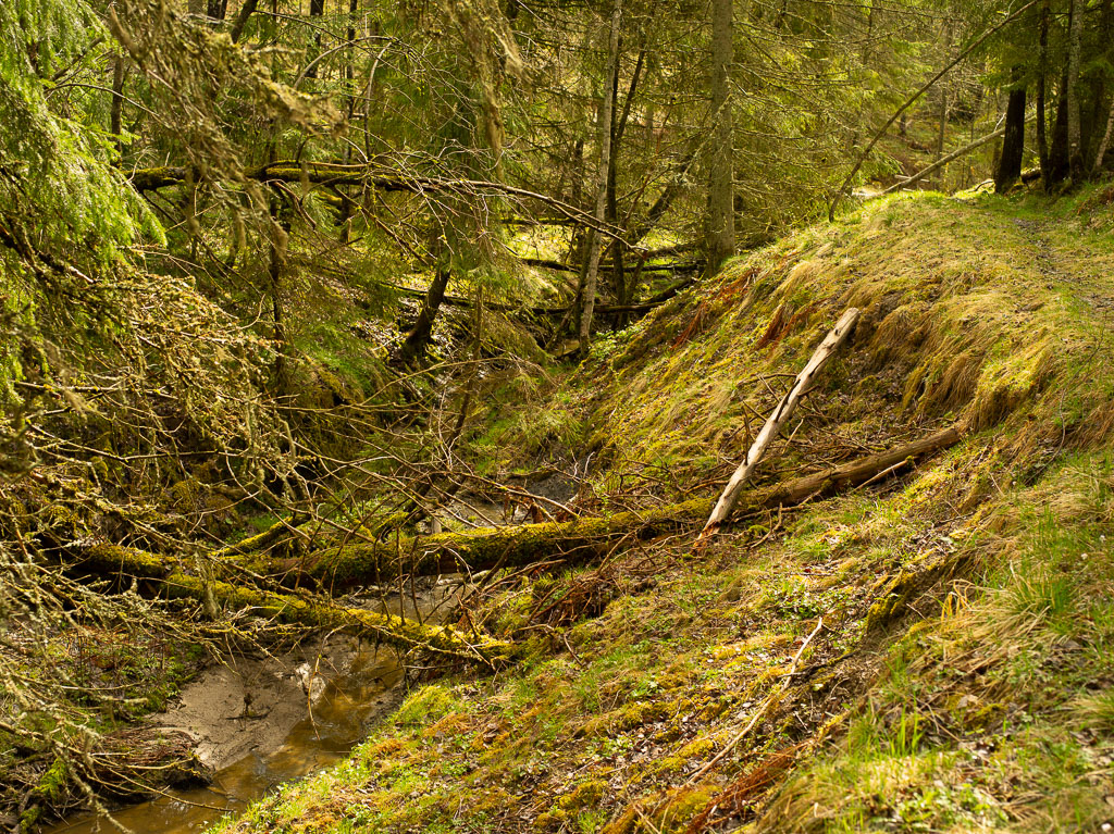 Pentax 645D / 1 Pentax 645D   1