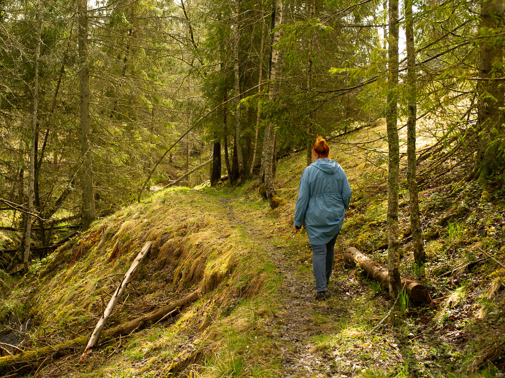 Pentax 645D / 1 Pentax 645D   1