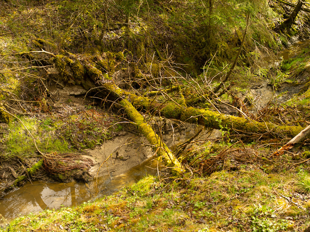 Pentax 645D / 1 Pentax 645D   1