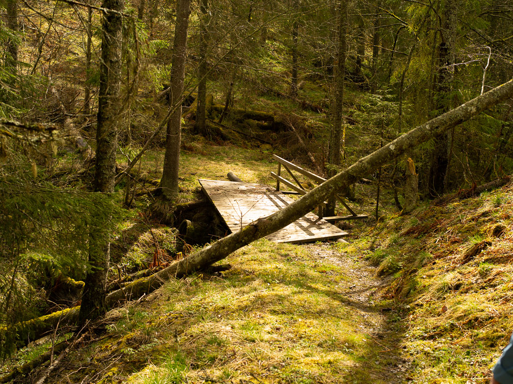 Pentax 645D / 1 Pentax 645D   1