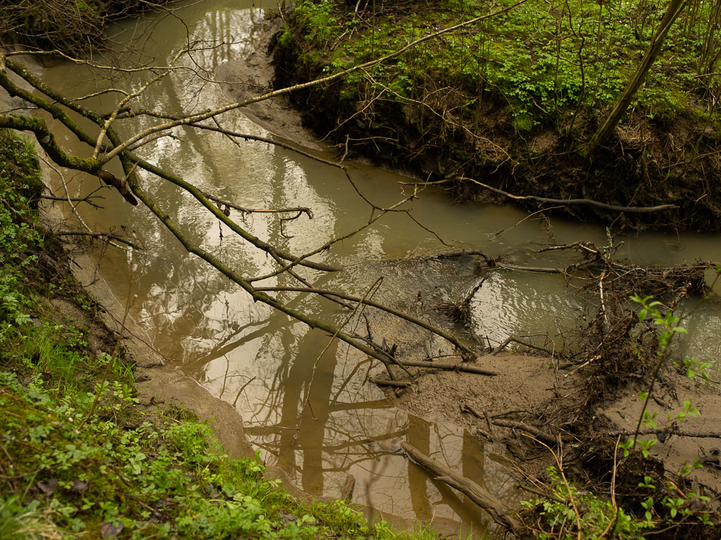 Pentax 645D / 1 Pentax 645D   1