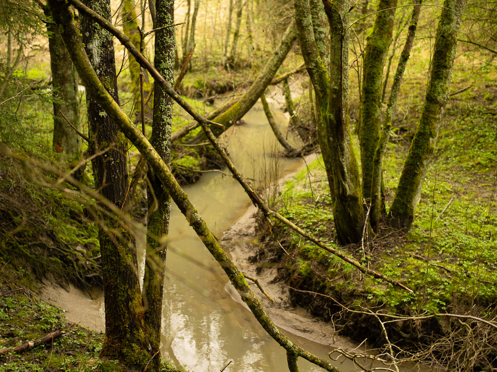 Pentax 645D / 1 Pentax 645D   1