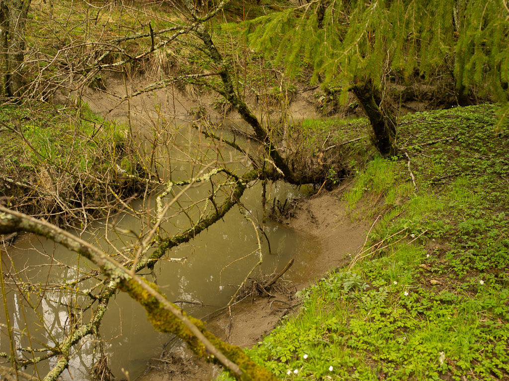 Pentax 645D / 1 Pentax 645D   1