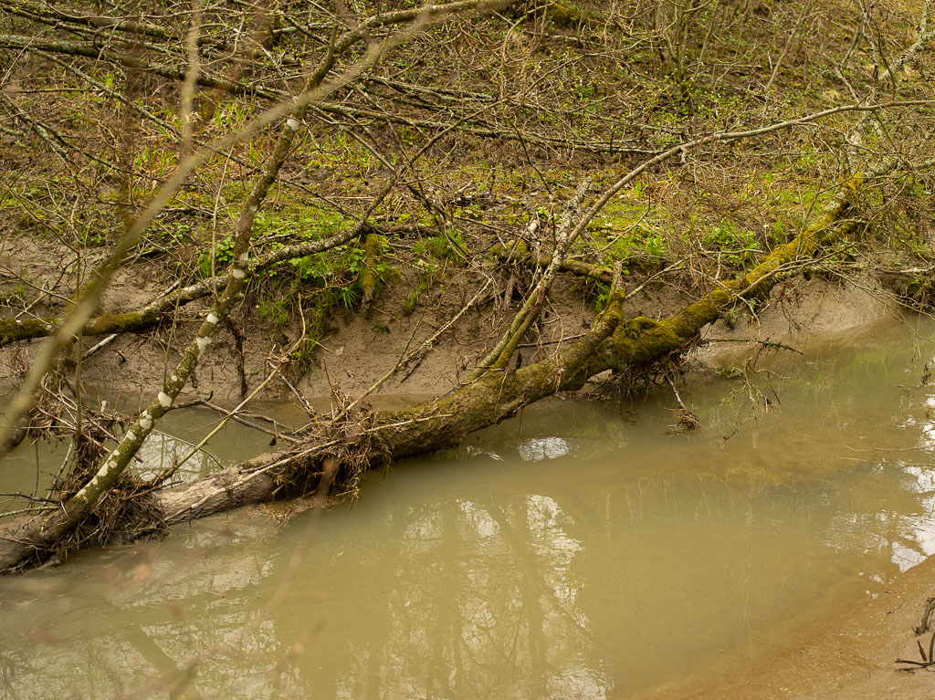 Pentax 645D / 1 Pentax 645D   1