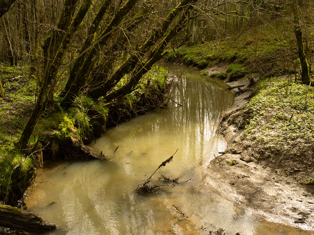 Pentax 645D / 1 Pentax 645D   1