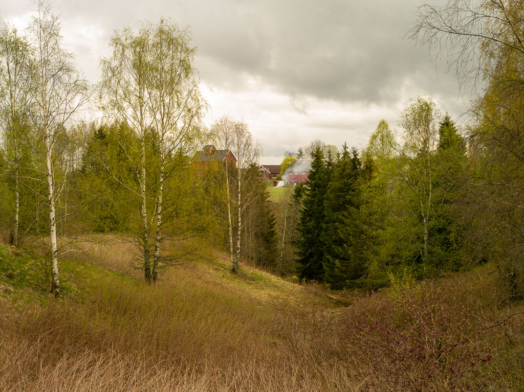 Pentax 645D / 1 Pentax 645D   1